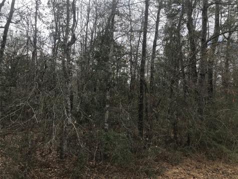 331 Hollywood Street Livingston TX 77351