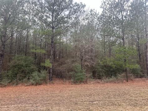 23809 Fm 2262 Apple Springs TX 75926