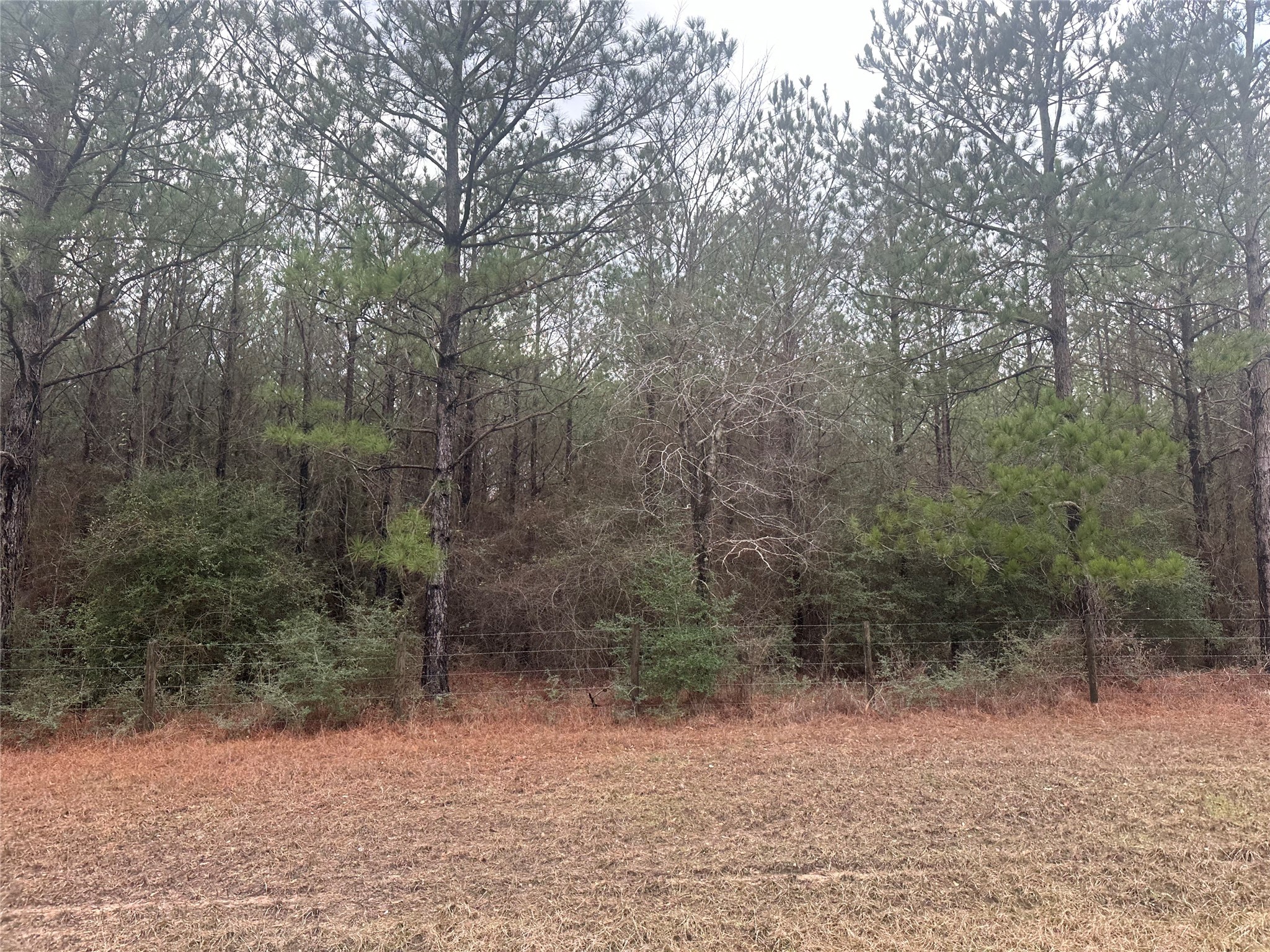 23809 Fm 2262 Apple Springs TX 75926