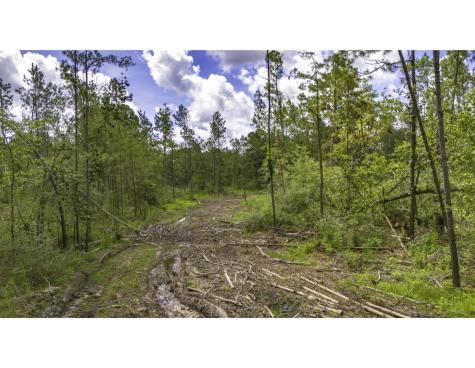 Tbd Lot 002 Holland Road Moscow TX 75960
