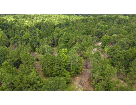 Tbd Lot 002 Holland Road Moscow TX 75960