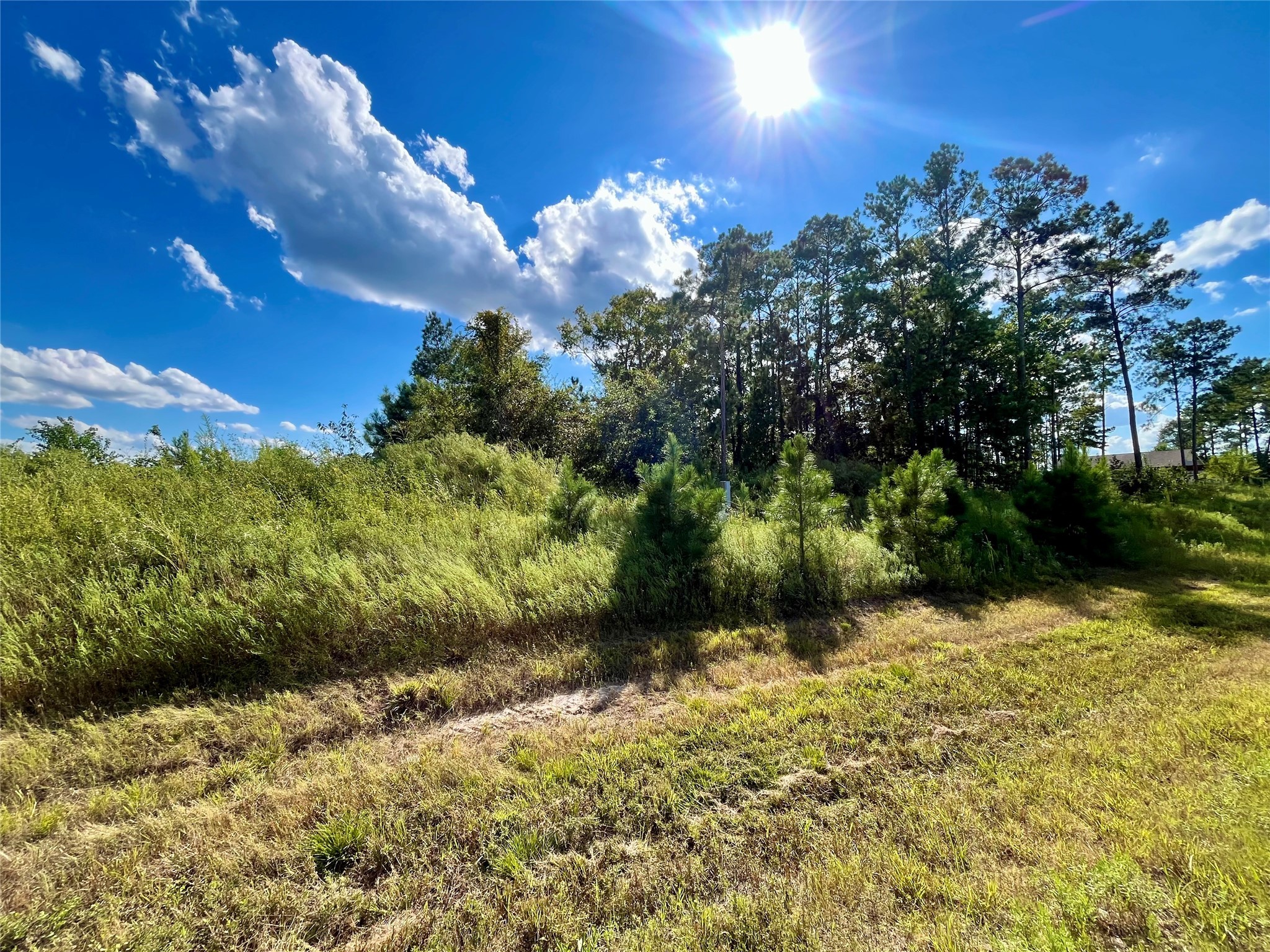 164 Road 5263b Cleveland TX 77327