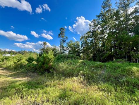 164 Road 5263b Cleveland TX 77327