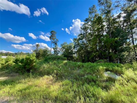 164 Road 5263b Cleveland TX 77327