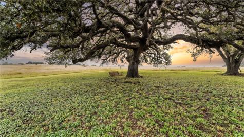 81 Private Road 3095 Shiner TX 77984