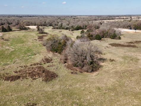 Tbd Tract #16 Fcr 445 Fairfield TX 75840