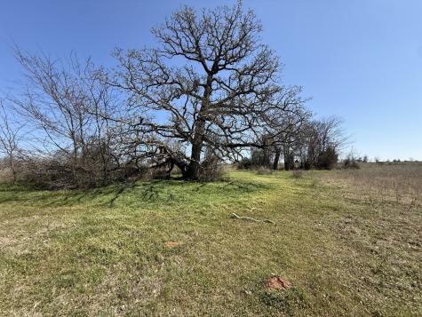 Tbd Tract #16 Fcr 445 Fairfield TX 75840