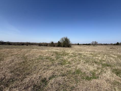Tbd Tract #16 Fcr 445 Fairfield TX 75840