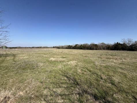 Tbd Tract #16 Fcr 445 Fairfield TX 75840