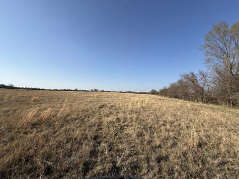 Tbd Tract 7 Fcr 445 Fairfield TX 75840