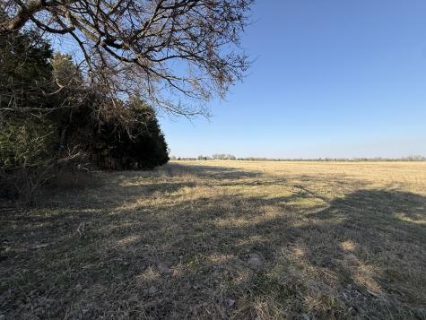 Tbd Tract 7 Fcr 445 Fairfield TX 75840