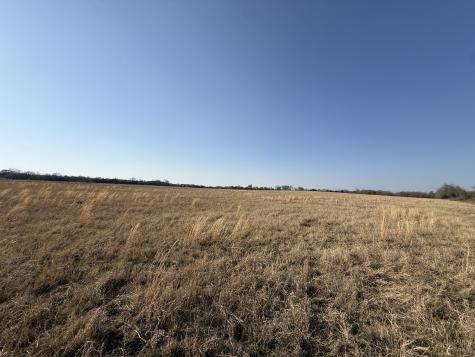 Tbd Tract 7 Fcr 445 Fairfield TX 75840