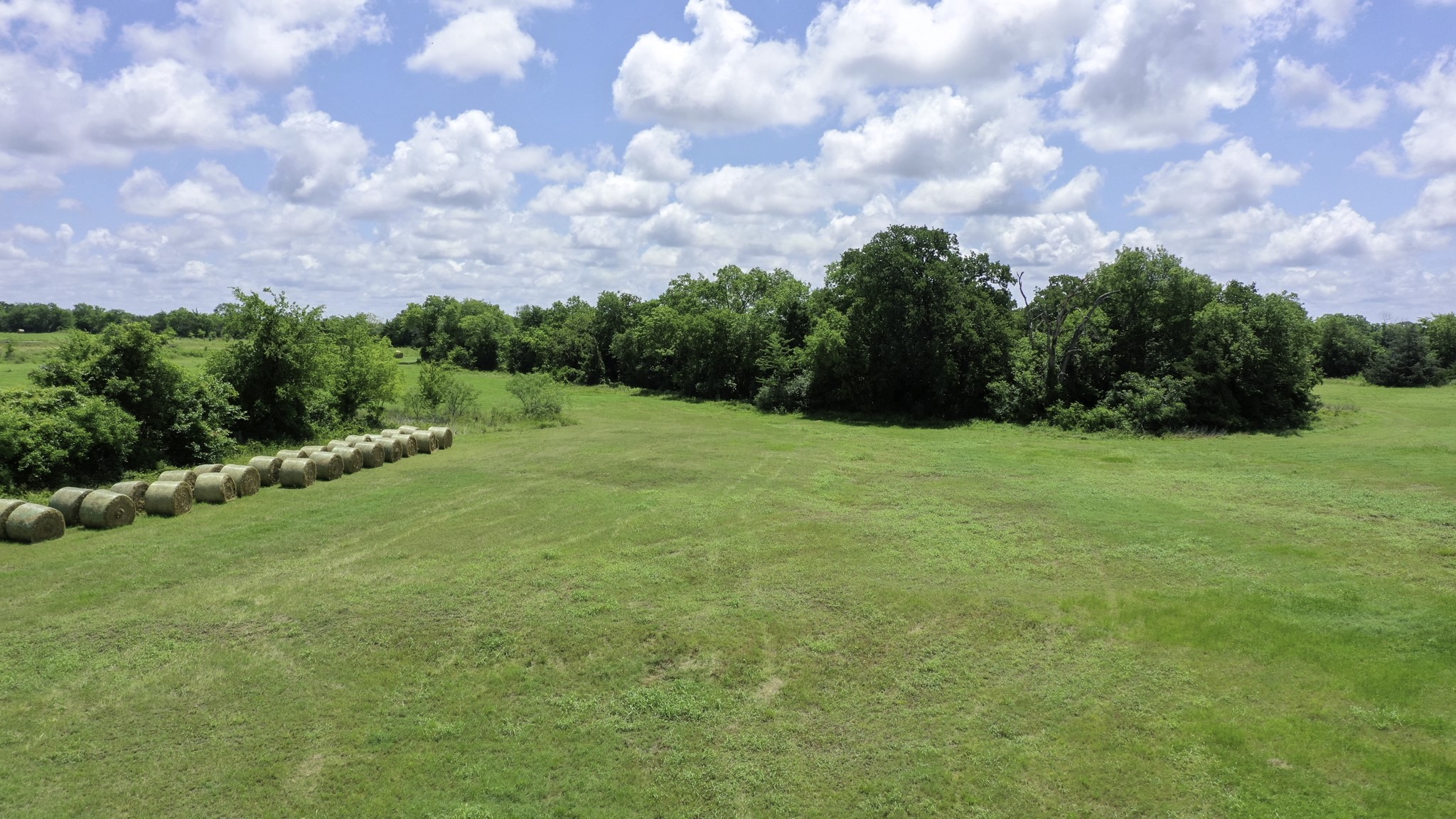 4853 Fm 1428 Madisonville TX 77864