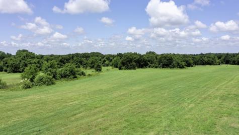 4853 Fm 1428 Madisonville TX 77864