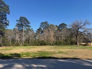 514 Black Bronco Road Magnolia TX 77354