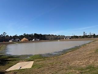 514 Black Bronco Road Magnolia TX 77354