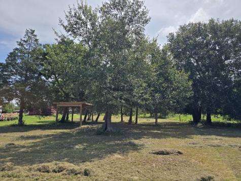 20714 Pearl Street Prairie View TX 77484