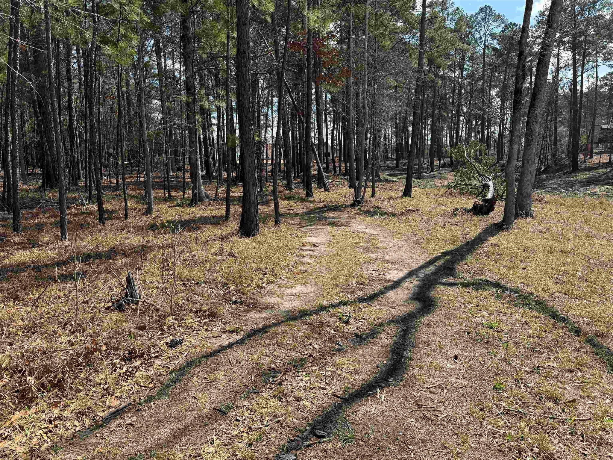 013 Private Road 6028 Brookeland TX 75931