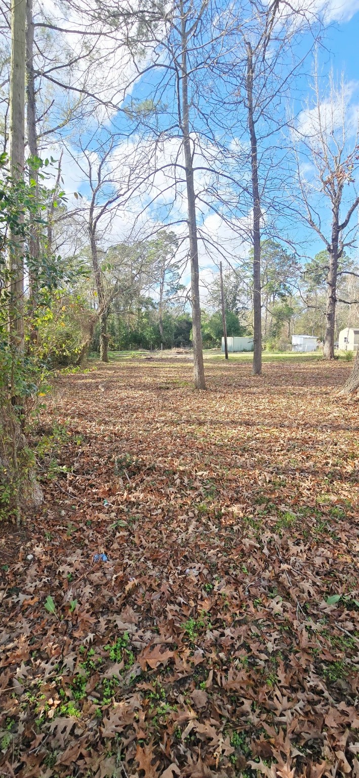 20668 Pin Oak Road New Caney TX 77357
