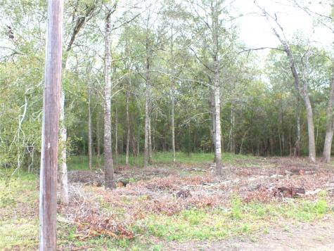 0 Patricia Lane Cr 377 Alvin TX 77511