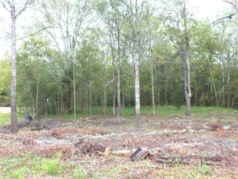 0 Patricia Lane Cr 377 Alvin TX 77511