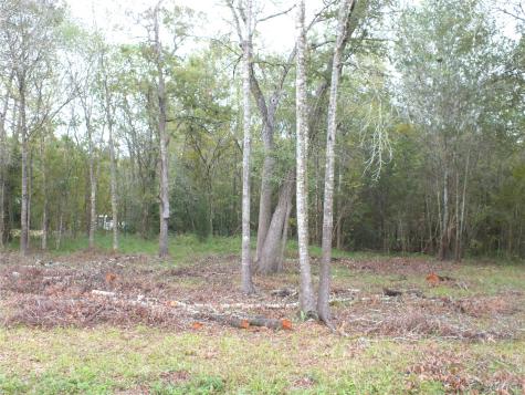 0 Patricia Lane Cr 377 Alvin TX 77511