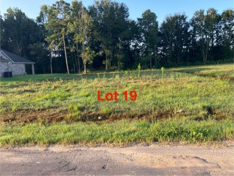 1081 Tarkington Timbers Drive Cleveland TX 77327