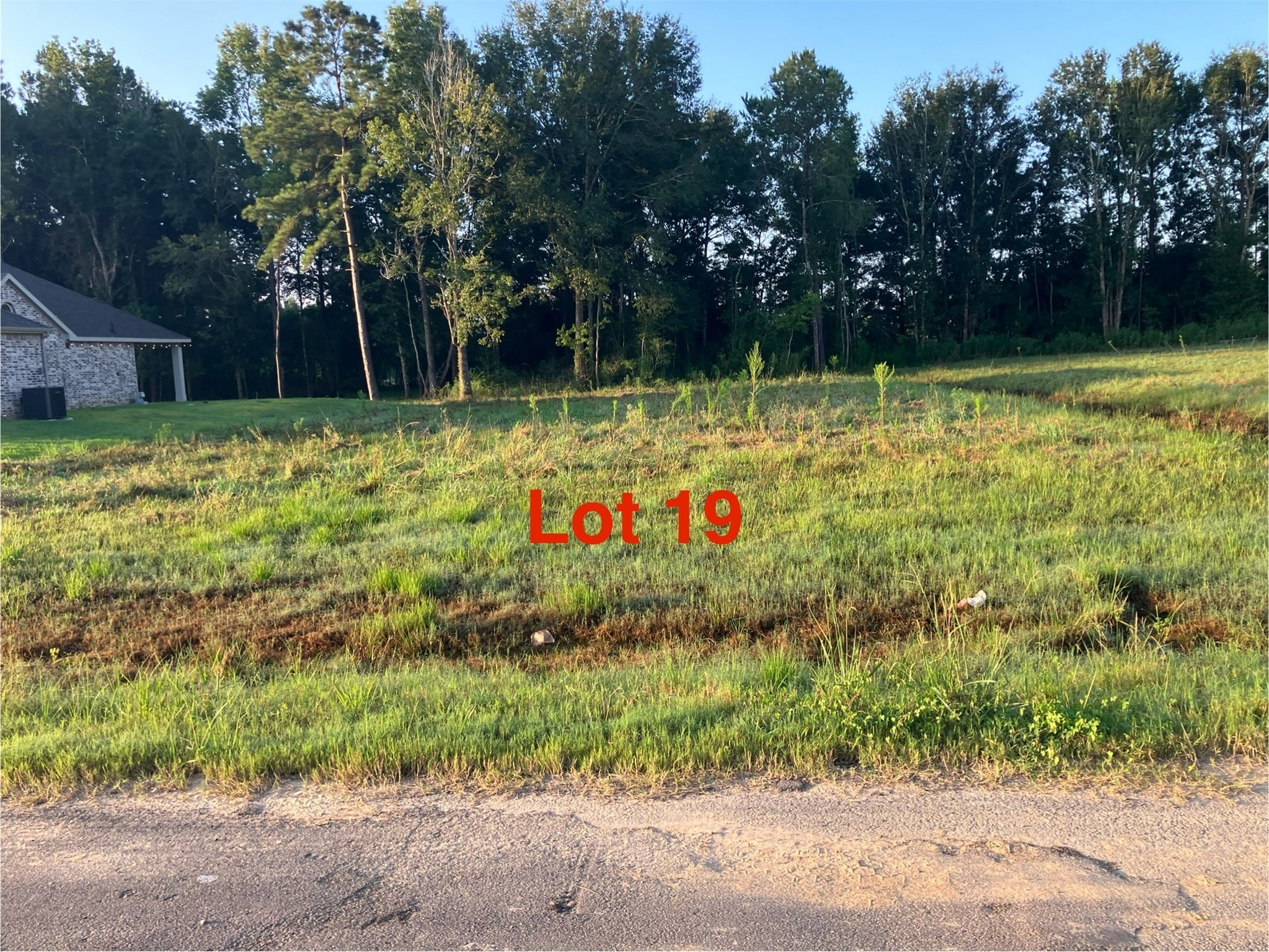 1081 Tarkington Timbers Drive Cleveland TX 77327