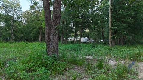 211 Panther Lane Livingston TX 77351