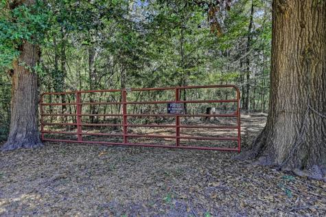 Tbd Bryan Lane Willis TX 77378