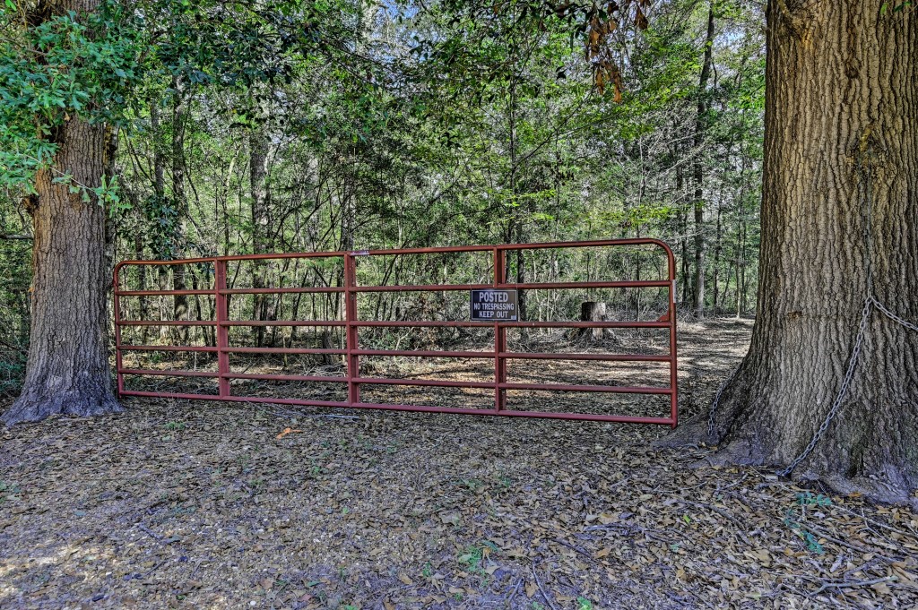 Tbd Bryan Lane Willis TX 77378