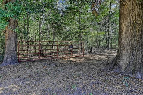 Tbd Bryan Lane Willis TX 77378