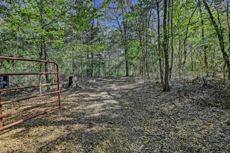 Tbd Bryan Lane Willis TX 77378