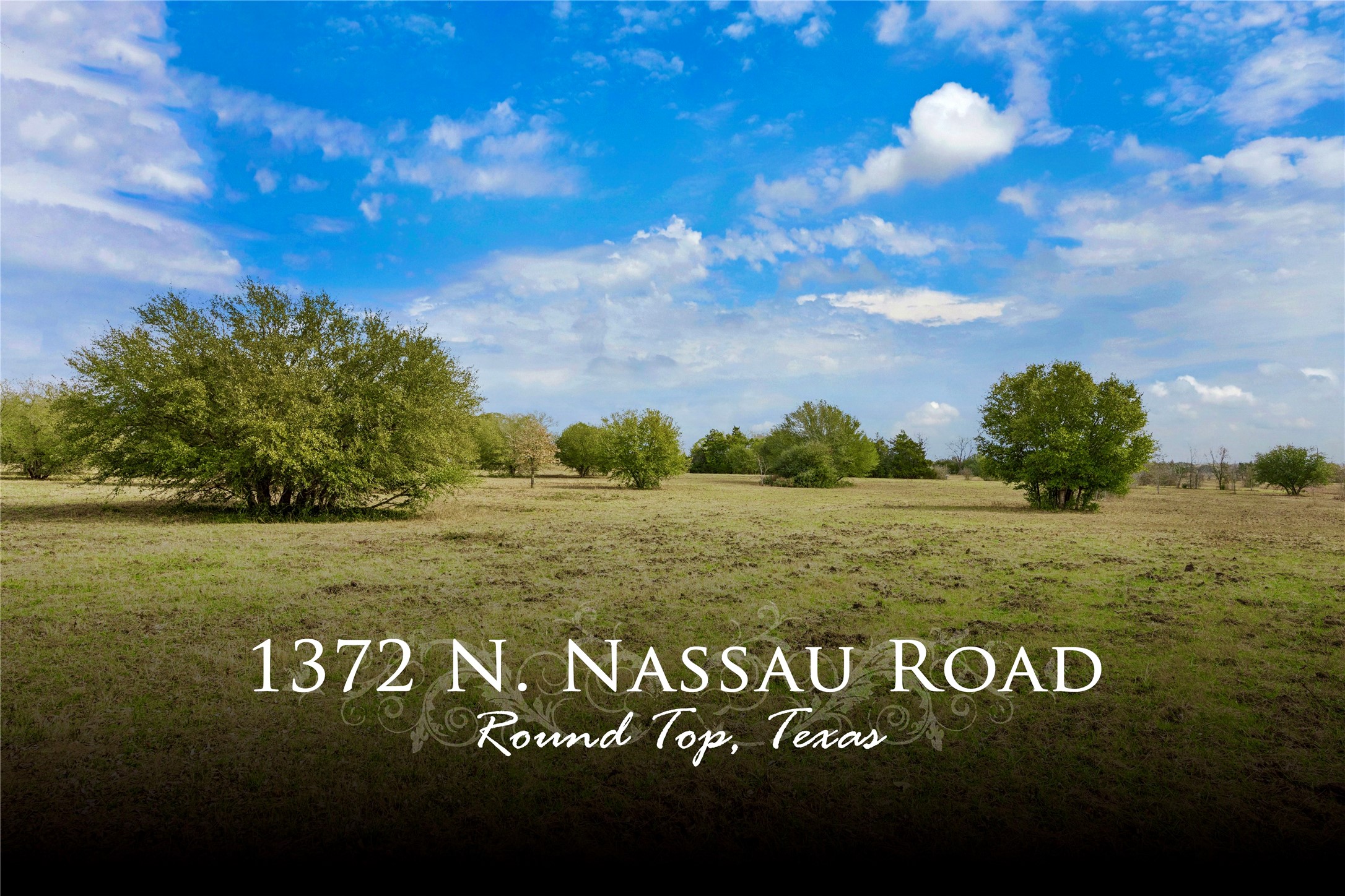 1372 N Nassau Road Round Top TX 78954