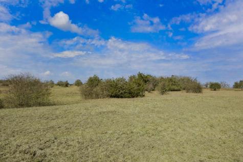1372 N Nassau Road Round Top TX 78954