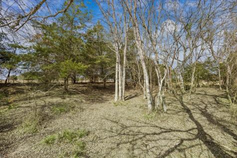 1372 N Nassau Road Round Top TX 78954