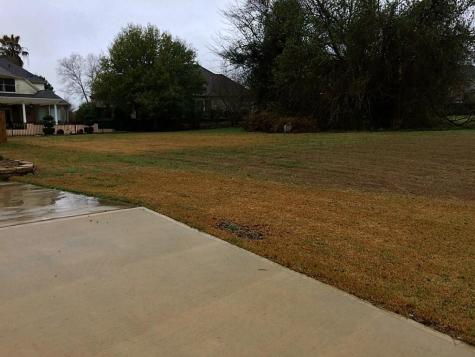 41 Bellingham Court Conroe TX 77303