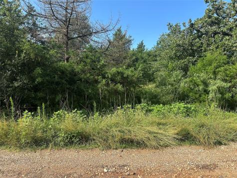 600 Blueberry Hill Road Somerville TX 77879