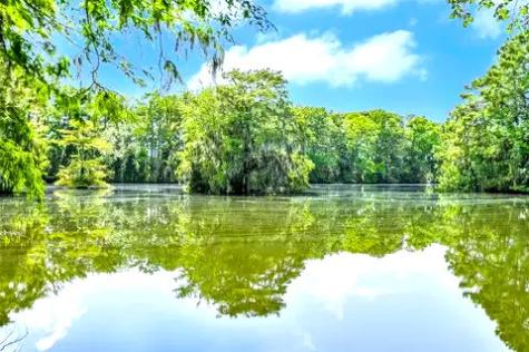 County Road 2800 Cleveland TX 77327