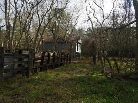 111 Moonshine Hill/will Clayton Parkway Road Houston TX 77338