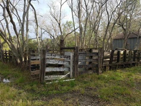 111 Moonshine Hill/will Clayton Parkway Road Houston TX 77338