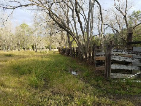 111 Moonshine Hill/will Clayton Parkway Road Houston TX 77338