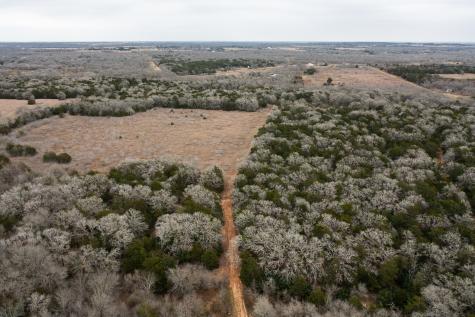 17 Acres - 000 Grassyville Road Paige TX 78659