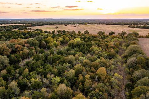 17 Acres - 000 Grassyville Road Paige TX 78659