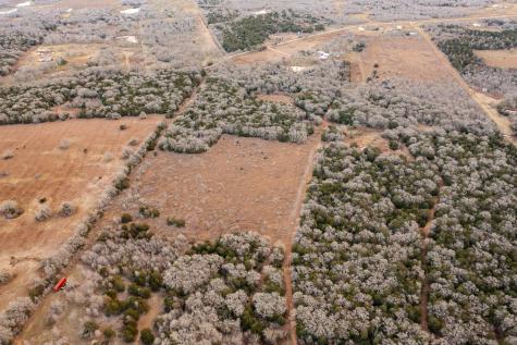 17 Acres - 000 Grassyville Road Paige TX 78659
