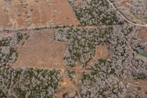 17 Acres - 000 Grassyville Road Paige TX 78659