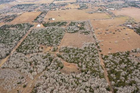 17 Acres - 000 Grassyville Road Paige TX 78659