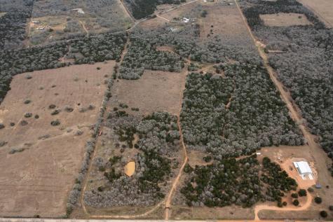 17 Acres - 000 Grassyville Road Paige TX 78659