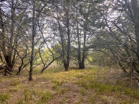 17 Acres - 000 Grassyville Road Paige TX 78659