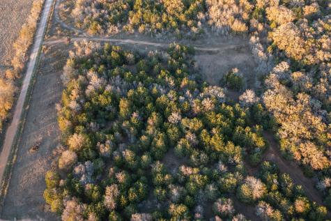 17 Acres - 000 Grassyville Road Paige TX 78659